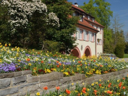 Foto: Johanniter-Kreuz